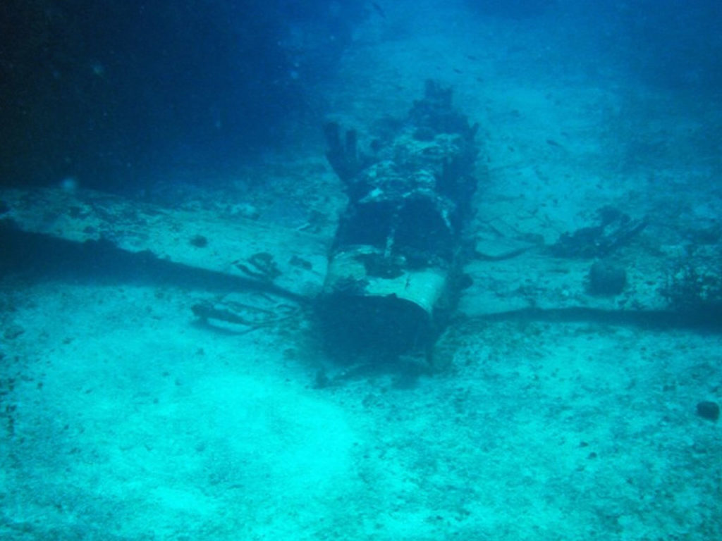 deep-plane-wreck-in-jamaica